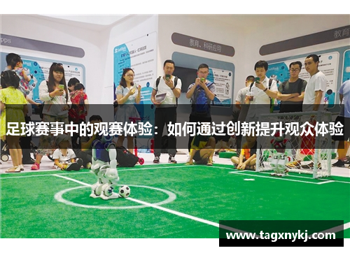 足球赛事中的观赛体验：如何通过创新提升观众体验