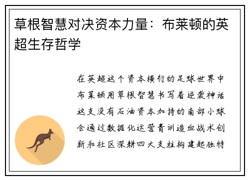 草根智慧对决资本力量：布莱顿的英超生存哲学