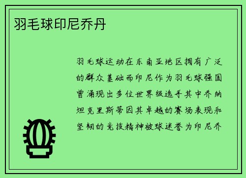 羽毛球印尼乔丹