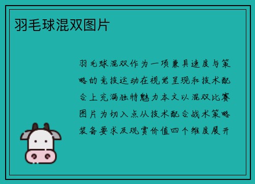 羽毛球混双图片